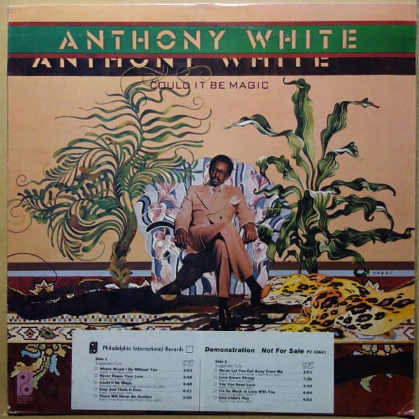 Anthony White - Could It Be Magic