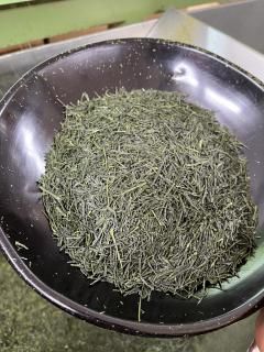 ž夷Ƥޤ