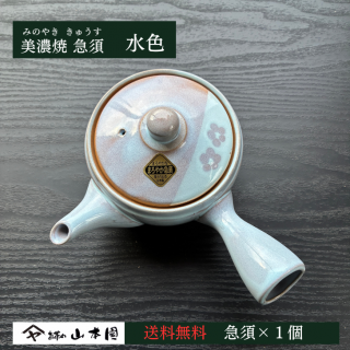 ǻơ޿(忧)ȯ