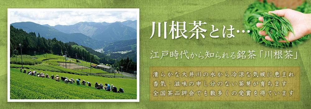 エルメス　100g（5g×20個）×10袋 無農薬栽培の川根茶農家直売 9dba223d8a8943614df9a1fdb04fc0