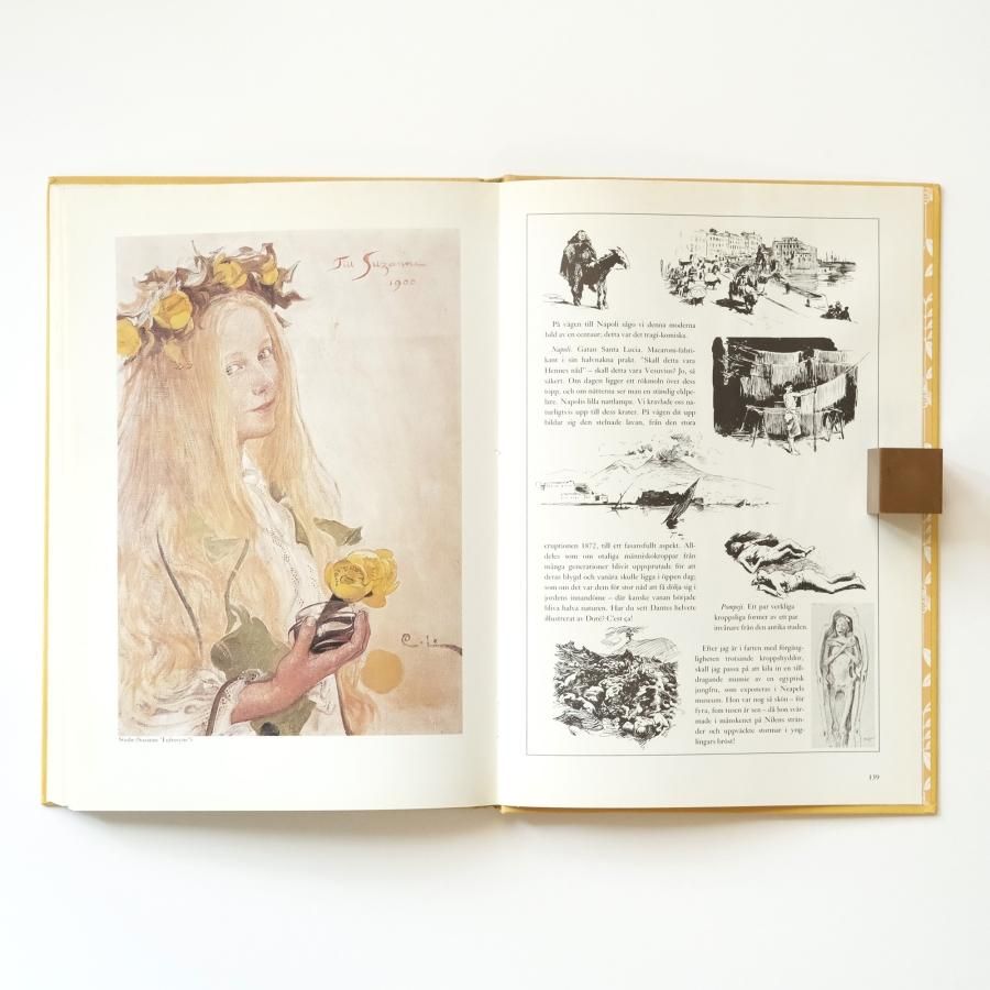 De mina och annat gammalt krafs カール・ラーション画集