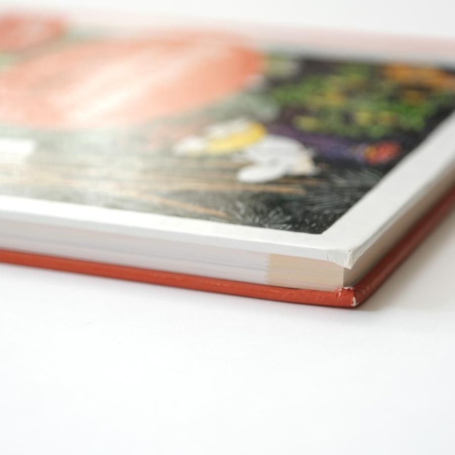 Muumilaakson Kuvasanakirja｜suomi-englanti ムーミンのフィンランド