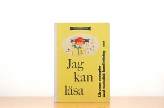 Jag kan l&#228;sa