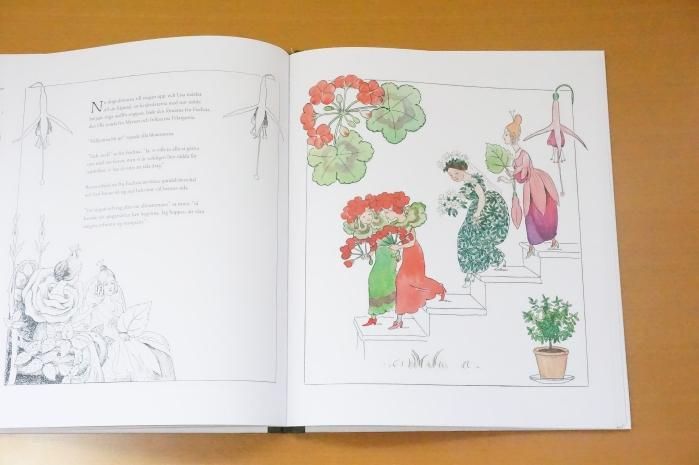 オンラインショップ更新】特集 植物の絵本｜岩瀬まな／まなみ古