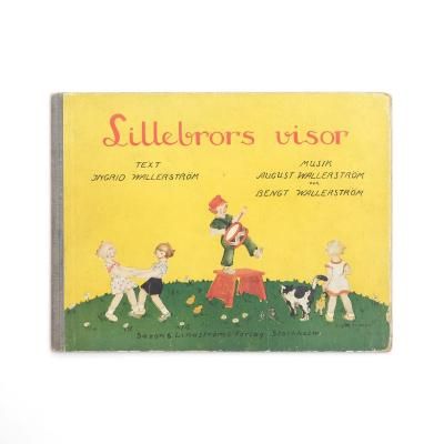 Lillebrors visor