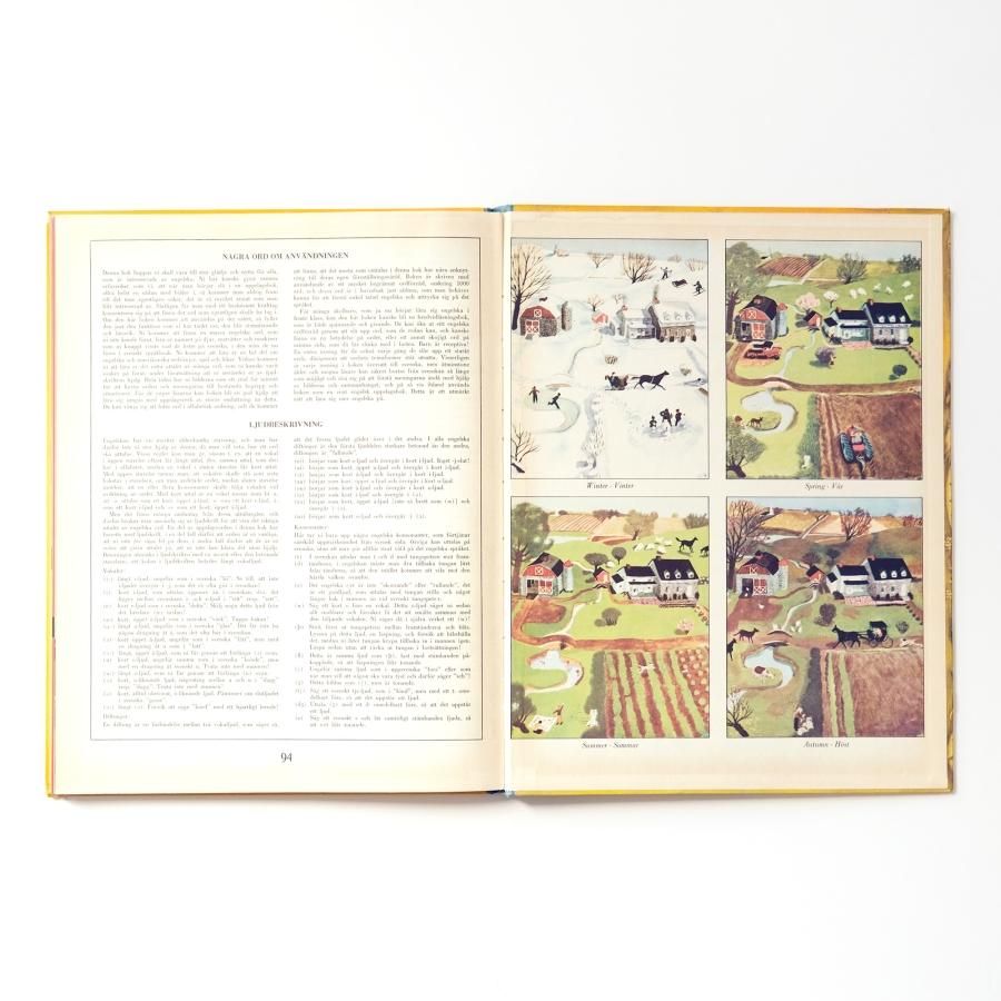 En gyllene Ordbok 英語とスウェーデン語の絵辞典