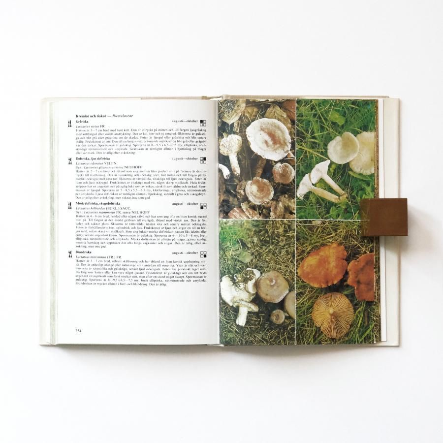 Tidens Svampguide 北欧きのこ図鑑