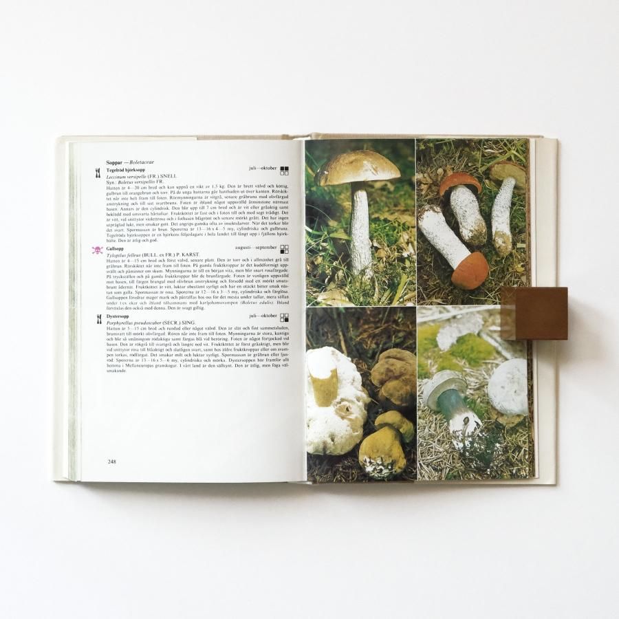 キノコ関係洋書　3冊セット キノコ関係洋書 3冊セット