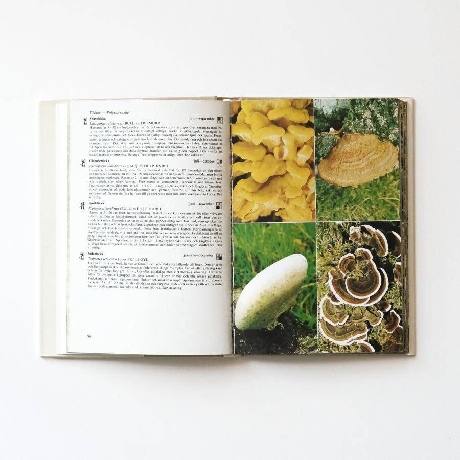 Tidens Svampguide 北欧きのこ図鑑
