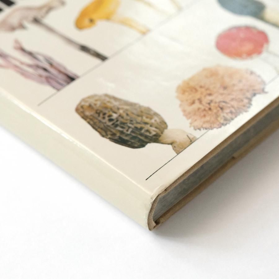 Tidens Svampguide 北欧きのこ図鑑