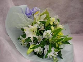 « Whiteۥ磻