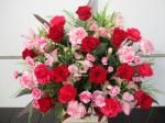 <img class='new_mark_img1' src='https://img.shop-pro.jp/img/new/icons7.gif' style='border:none;display:inline;margin:0px;padding:0px;width:auto;' />󥸥ȡRedPinkåɡԥ