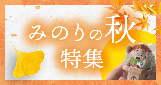 Хʡ04