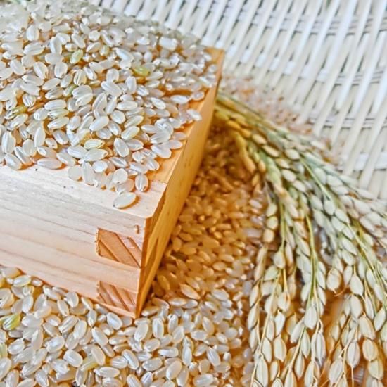 減農薬日本晴れ 玄米 30kg - マイベリーファーム