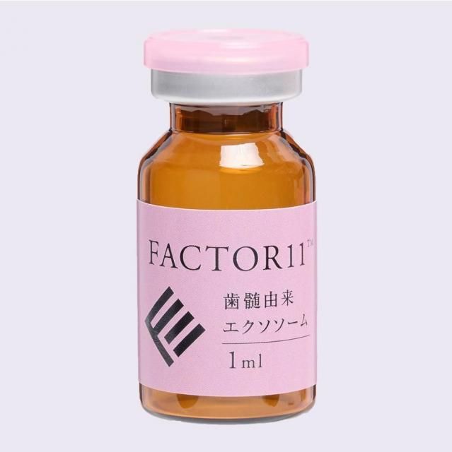FACTOR（ファクター）11 幹細胞培養上清液 エクソソーム 1ml（歯髄由来