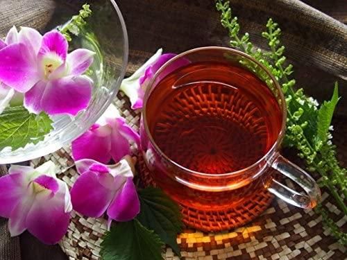 チャーガ ティーパック 4g26包入 カバノアナタケ茶 チャーガ茶