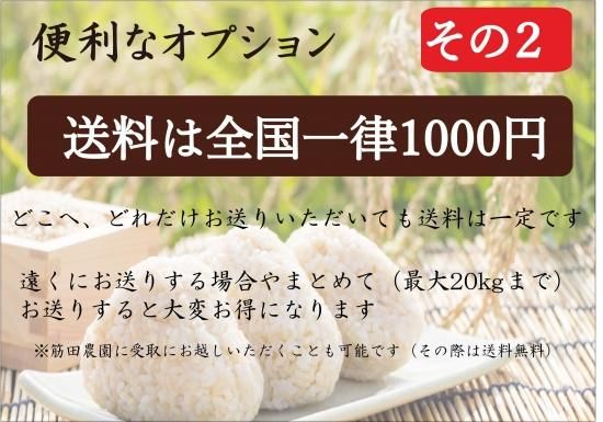 大人気定番商品 お米の年間消費契約【会員限定】 自然栽培米 福岡県産 お米60kg 米・雑穀・粉類