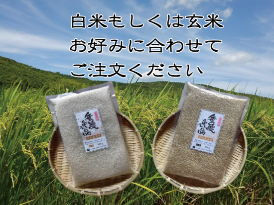 自然栽培米お試しサイズ【750g(5合)】福岡県産 無農薬 無肥料 自然栽培米お試しサイズ【750g(5合)】福岡県産 無農薬 無肥料