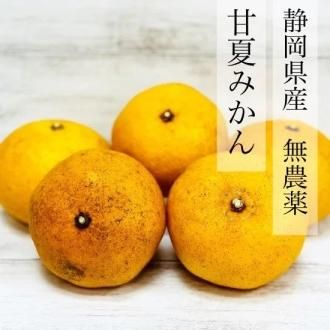 <img class='new_mark_img1' src='https://img.shop-pro.jp/img/new/icons25.gif' style='border:none;display:inline;margin:0px;padding:0px;width:auto;' />Ų̵ŲƤߤ10/ߴڴָ