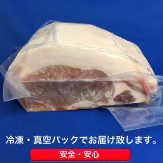 国産豚／ロース (約500g)