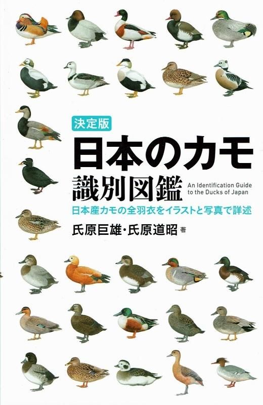 日本のカモ識別図鑑氏原巨雄 氏原道昭 著 うみねこ通販