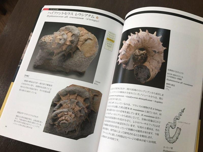北海道羽幌地域のアンモナイト 第二版 森伸一 著 - うみねこ通販 北海道羽幌地域のアンモナイト 第二版 森伸一 著 - うみねこ通販