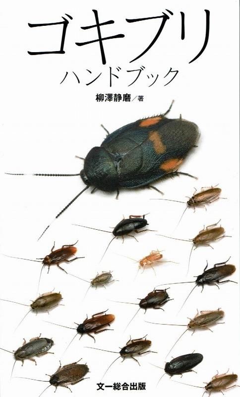 ゴキブリハンドブック うみねこ限定オリジナルカバーつき 柳澤静磨 著 うみねこ通販