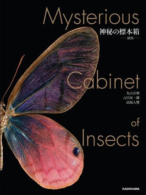 特典つき】神秘の標本箱 ―昆虫―丸山宗利・吉田攻一郎・法師人響