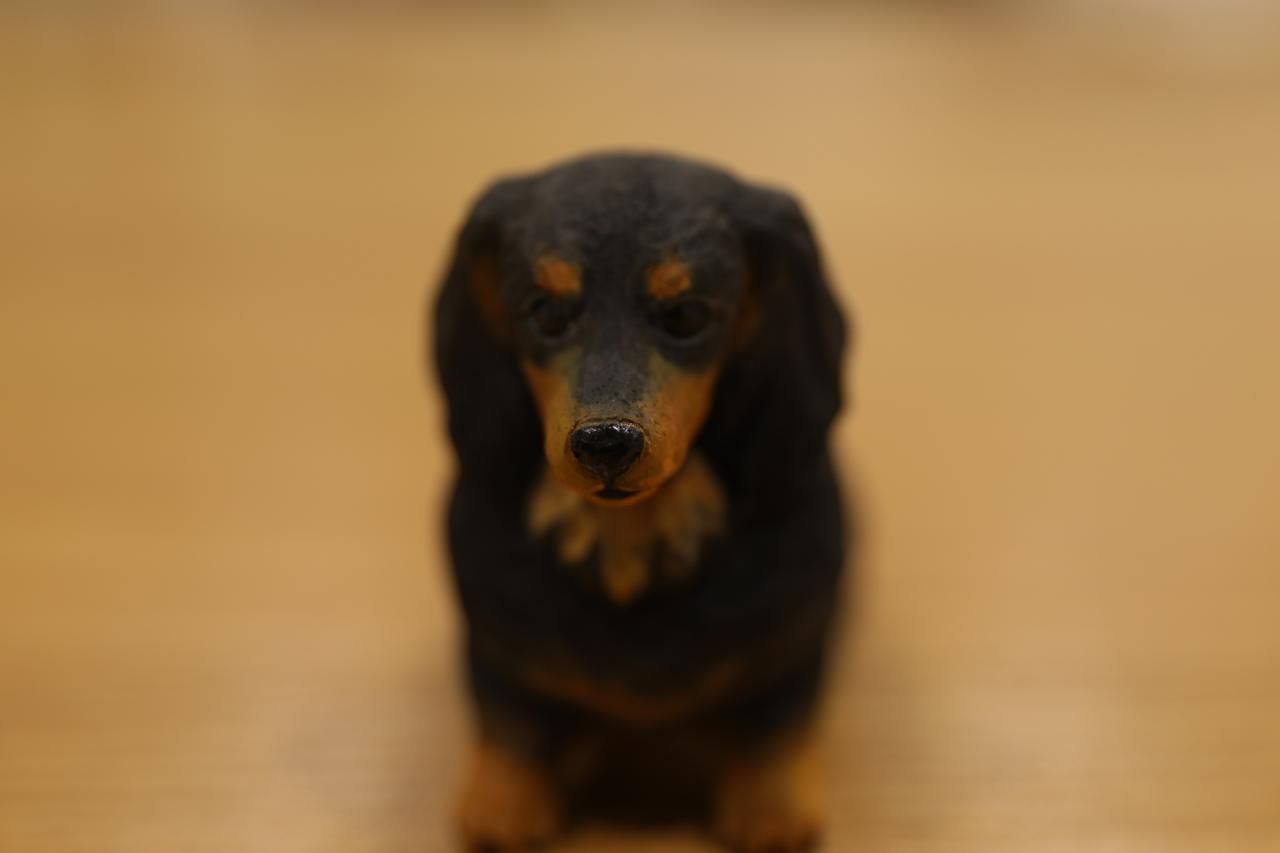 ͡ʥå