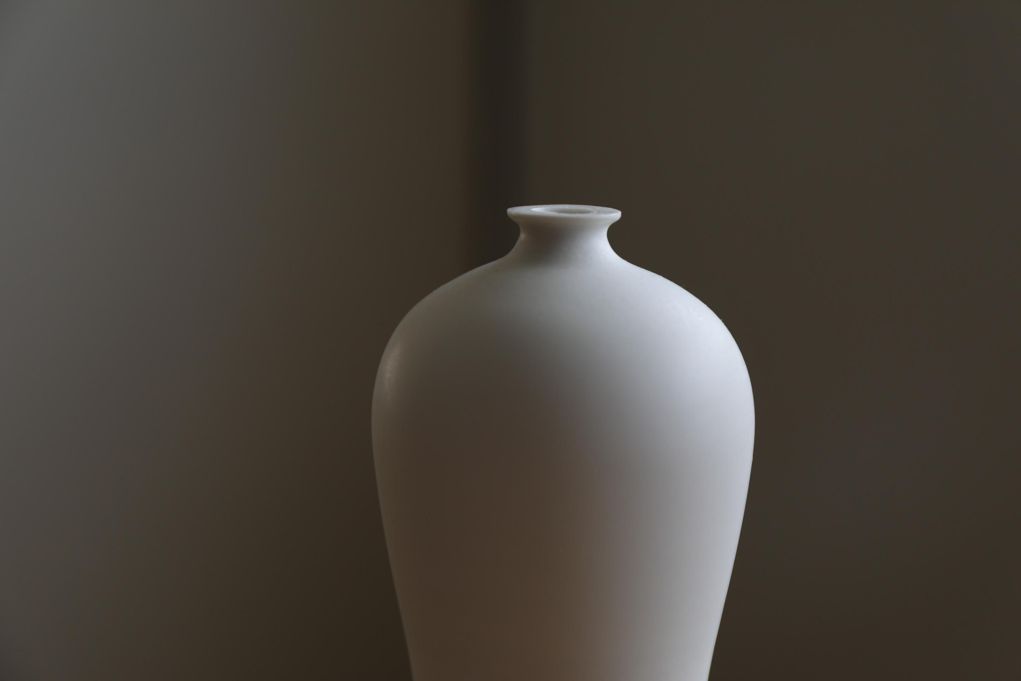 貴重 期間限定 大谷哲也 梅瓶 【公式通販】