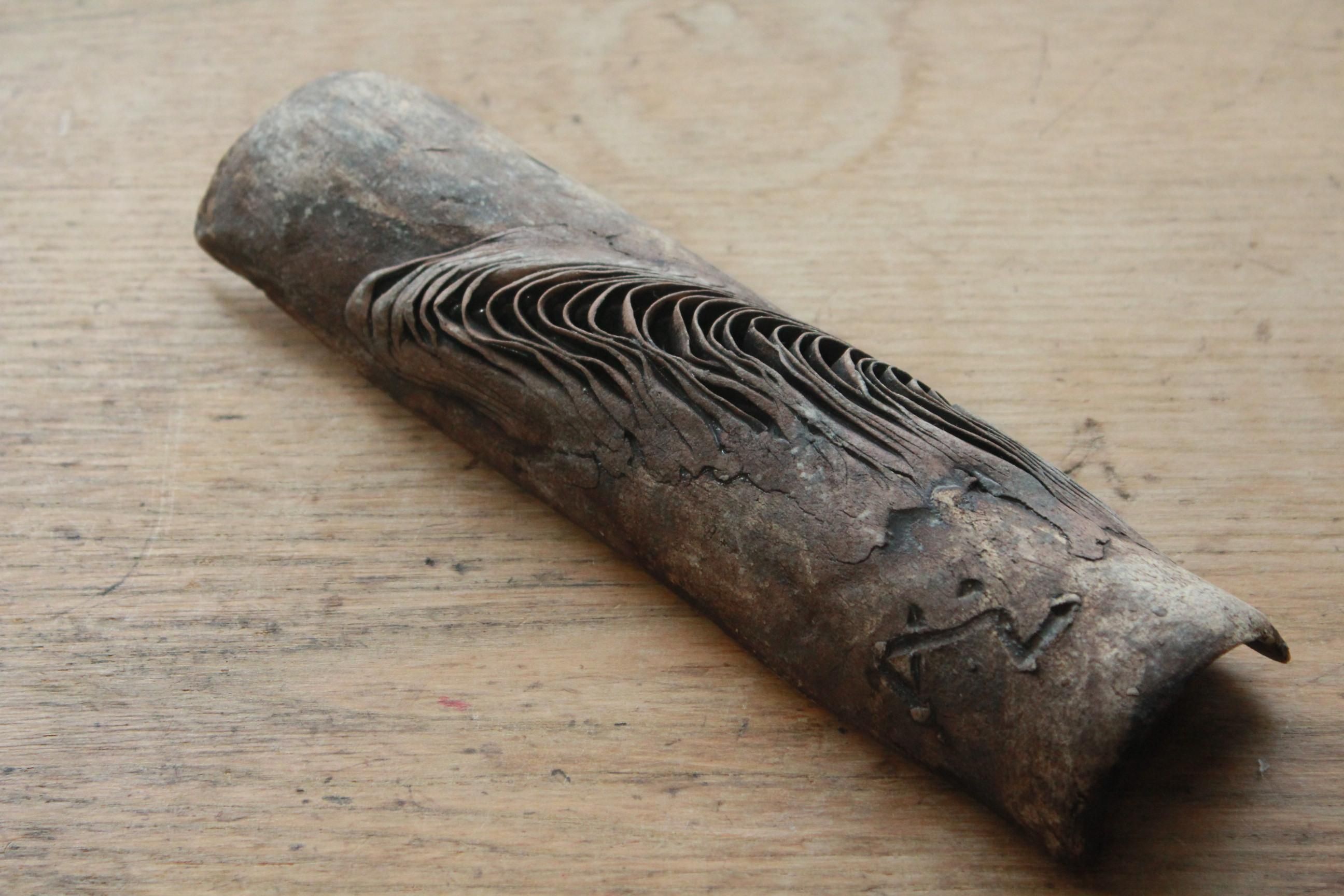 泉田 之也 - queen and the chair