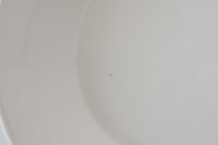 Arabia [Eeva] Oval Plate (B/Kaipiainen) / アラビア [ エエヴァ