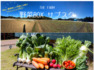 THE FARM野菜ボックス サブスク（定期便）