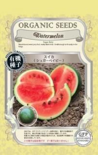 ̥μڥ奬٥ӡ̸ۡͭҡ ̵
