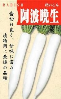 ダイコン〔無消毒種子〕 - 種の専門店 松尾農園 オンラインショップ