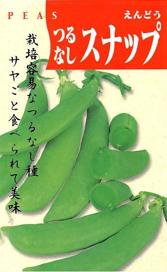 スナップエンドウの種 つるなしスナップ 固定種 種の専門店 松尾農園 オンラインショップ スナップエンドウの種 つるなしスナップ 固定種 種の専門店 松尾農園 オンラインショップ