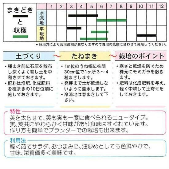 スナップエンドウの種 つるなしスナップ 固定種 種の専門店 松尾農園 オンラインショップ スナップエンドウの種 つるなしスナップ 固定種 種の専門店 松尾農園 オンラインショップ