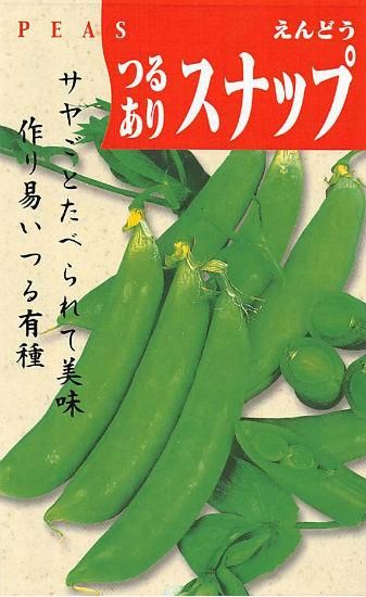 スナップエンドウの種 つるありスナップ 固定種 種の専門店 松尾農園 オンラインショップ スナップエンドウの種 つるありスナップ 固定種 種の専門店 松尾農園 オンラインショップ