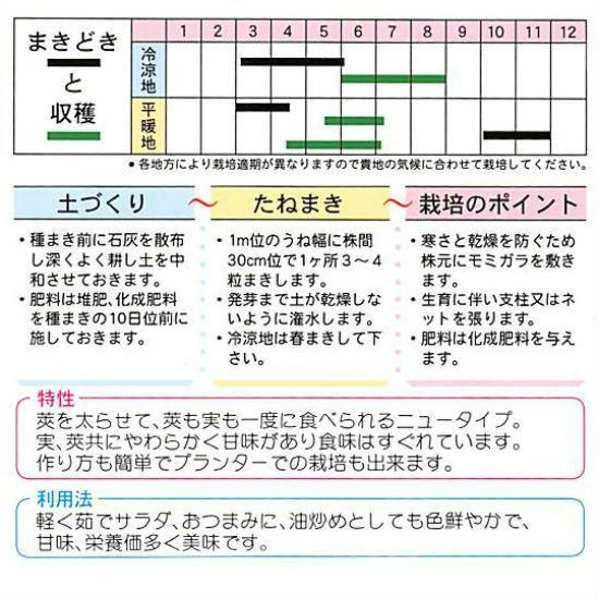 スナップエンドウの種 つるありスナップ 固定種 種の専門店 松尾農園 オンラインショップ スナップエンドウの種 つるありスナップ 固定種 種の専門店 松尾農園 オンラインショップ