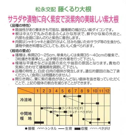 紫ダイコンの種 味いちばん紫 F1 種の専門店 松尾農園 オンラインショップ