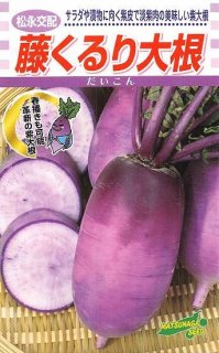 カボチャの種【打木赤皮甘栗南瓜】〔固定種〕 - 種の専門店 松尾農園 オンラインショップ