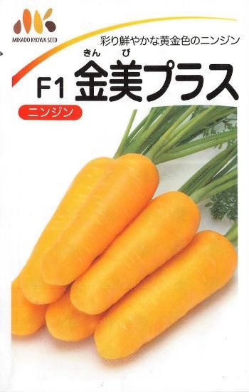 黄ニンジンの種 金美プラス F1 種の専門店 松尾農園 オンラインショップ 黄ニンジンの種 金美プラス F1 種の専門店 松尾農園 オンラインショップ
