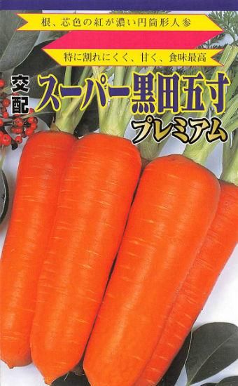 ニンジンの種【スーパー黒田五寸プレミアム】〔F1〕 - 種の専門店 松尾