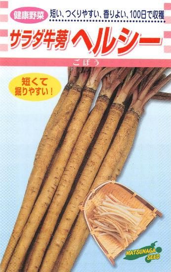 ゴボウの種 サラダ牛蒡 ヘルシー 固定種 種の専門店 松尾農園 オンラインショップ ゴボウの種 サラダ牛蒡 ヘルシー 固定種 種の専門店 松尾農園 オンラインショップ