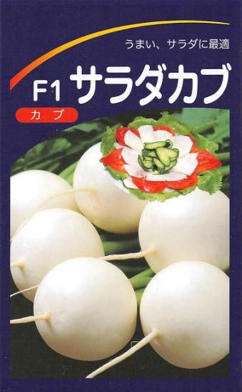 カブの種 サラダカブ はくれい F1 種の専門店 松尾農園 オンラインショップ