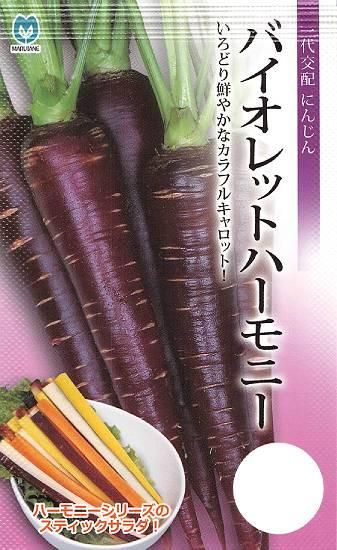 ニンジンの種 バイオレットハーモニー F1 種の専門店 松尾農園 オンラインショップ ニンジンの種 バイオレットハーモニー F1 種の専門店 松尾農園 オンラインショップ