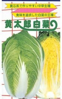 種(ハクサイ) - 種の専門店 松尾農園 オンラインショップ 種(ハクサイ) - 種の専門店 松尾農園 オンラインショップ