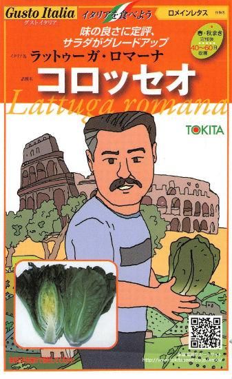 ロメインレタスの種 コロッセオ 固定種 種の専門店 松尾農園 オンラインショップ
