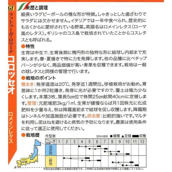 ロメインレタスの種 コロッセオ 固定種 種の専門店 松尾農園 オンラインショップ