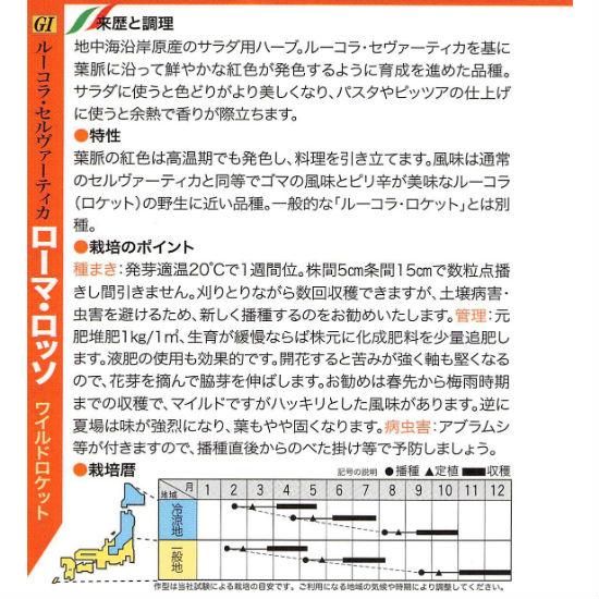 ワイルドルッコラの種 ローマ ロッソ 固定種 種の専門店 松尾農園 オンラインショップ